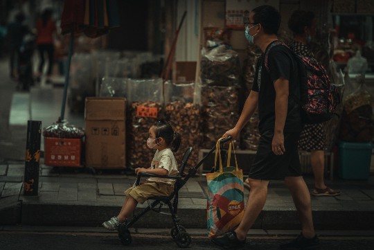 蜜蜂安家新指南，打造高效生态蜂箱