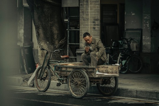 热门解析，揭秘最适合巴西木生长的土壤奥秘